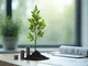 arbor-metals-aktie-prognose-chancen-und-risiken-im-ueberblick