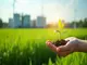 envitec-biogas-aktie-nachhaltigkeit-auf-dem-vormarsch