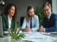 high-tide-aktie-ein-vielversprechendes-investment-im-cannabissektor