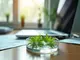 novozymes-aktie-unter-der-lupe-chancen-und-risiken-im-detail